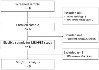 Multimodal Neuroimaging Approach to Variability of Functional Connectivity in Disorders of Consciousness: A PET/MRI Pilot Study